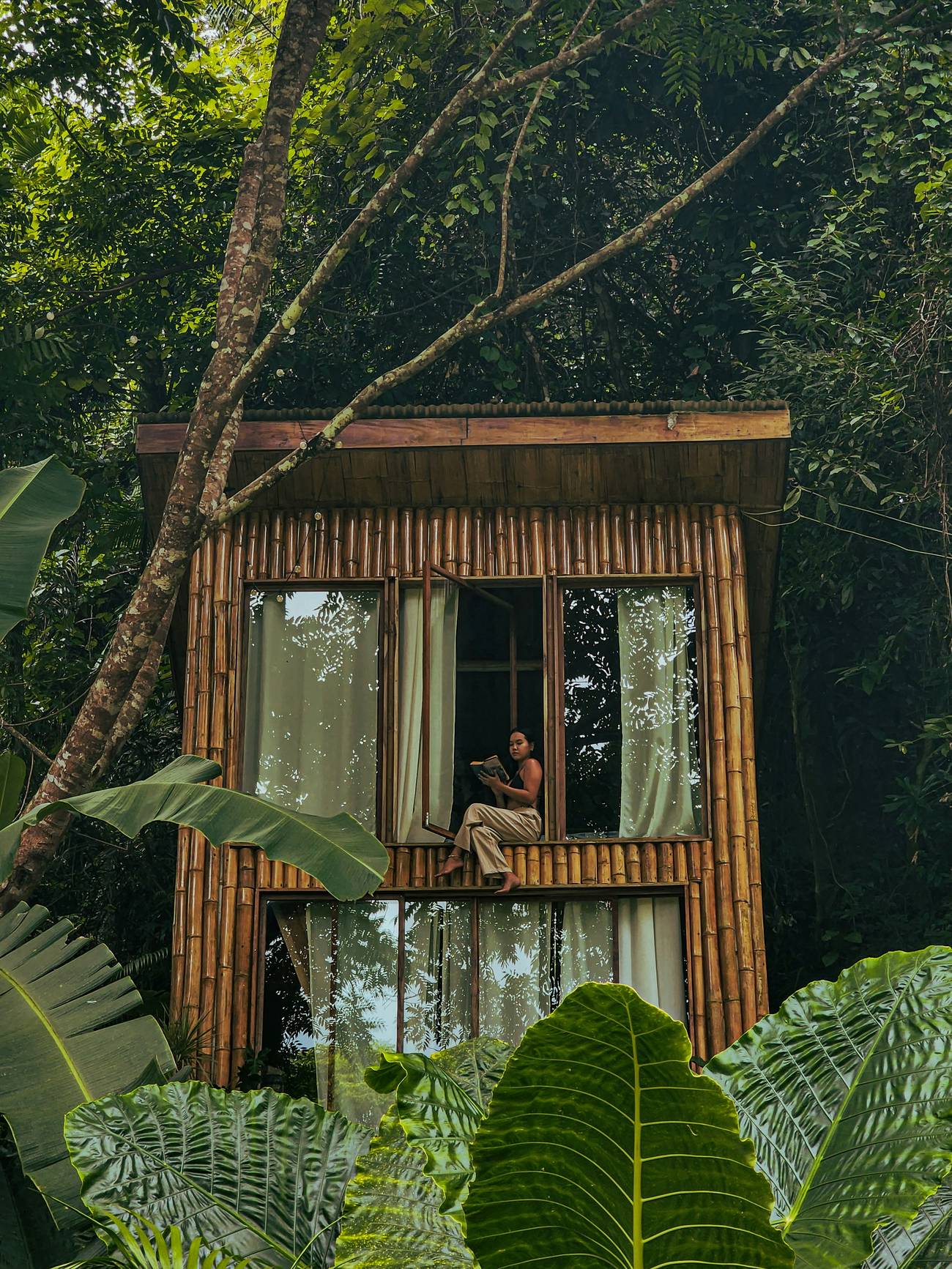 Bamboo and timber house in dense tropical greenery, someone reading in the open window